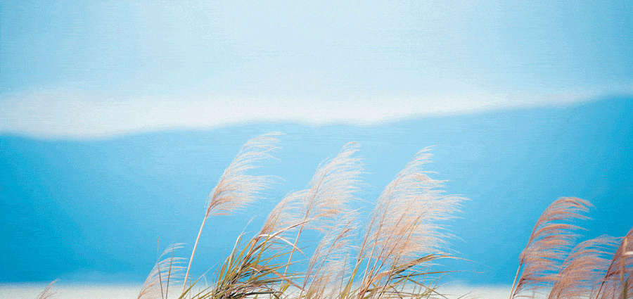 eda83284b0124285b4f2a7536f09e9e3.gif