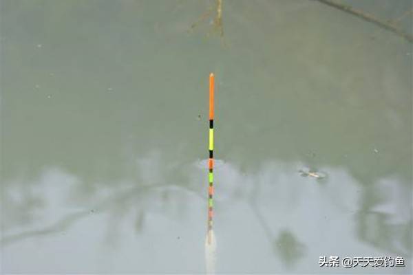如何选择浮漂 2098b600982b4d2ba2b57525fc7c0fd0.jpeg