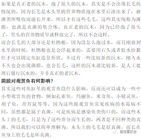 别害怕简谱_别害怕有我在图片(3)