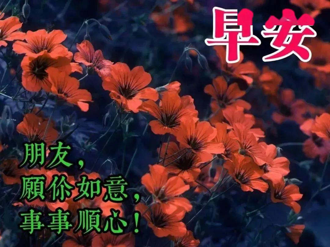 中年老人表情包:愿我小小的问候带给你快乐
