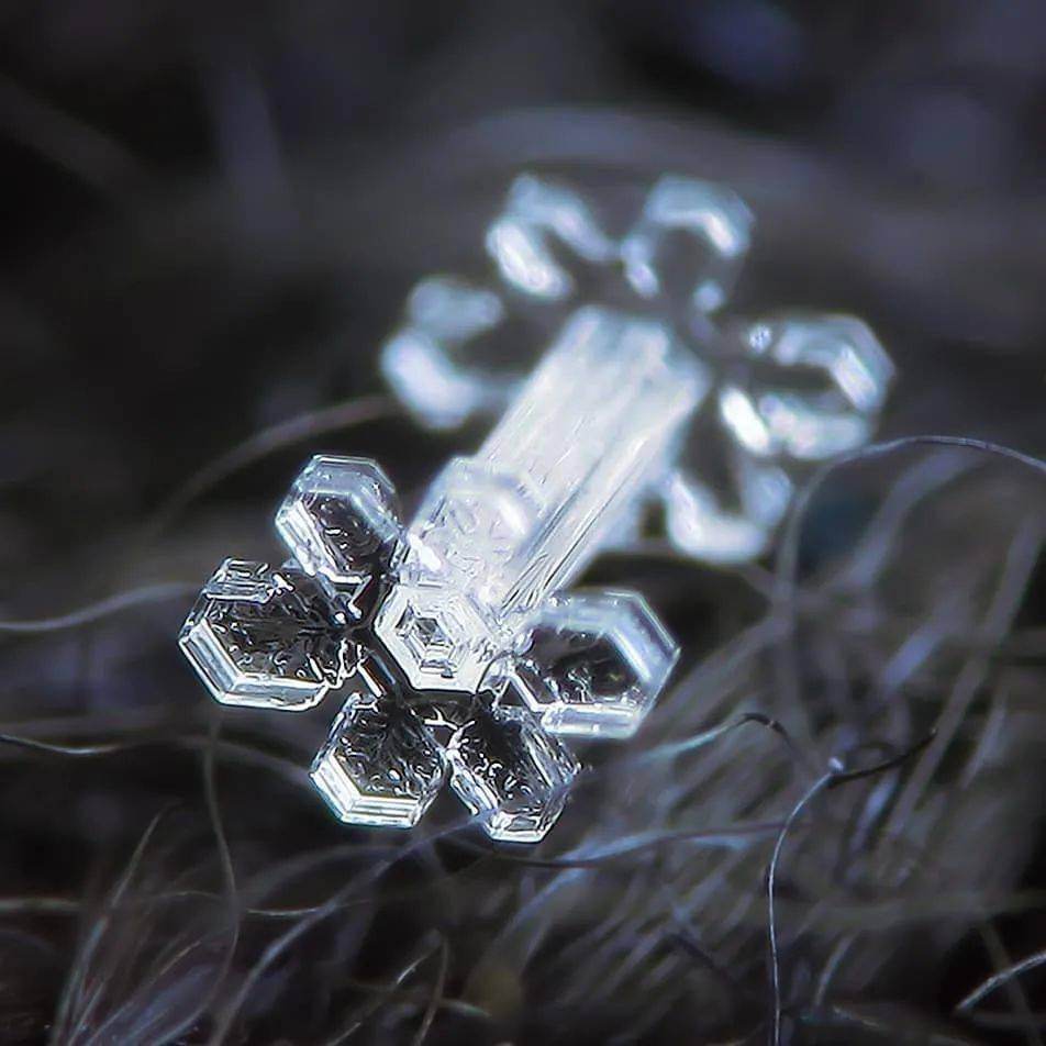 让它来告诉你_雪花