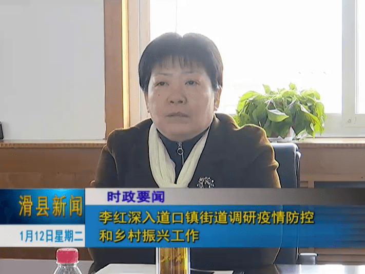 李红深入道口镇街道调研疫情防控和乡村振兴工作