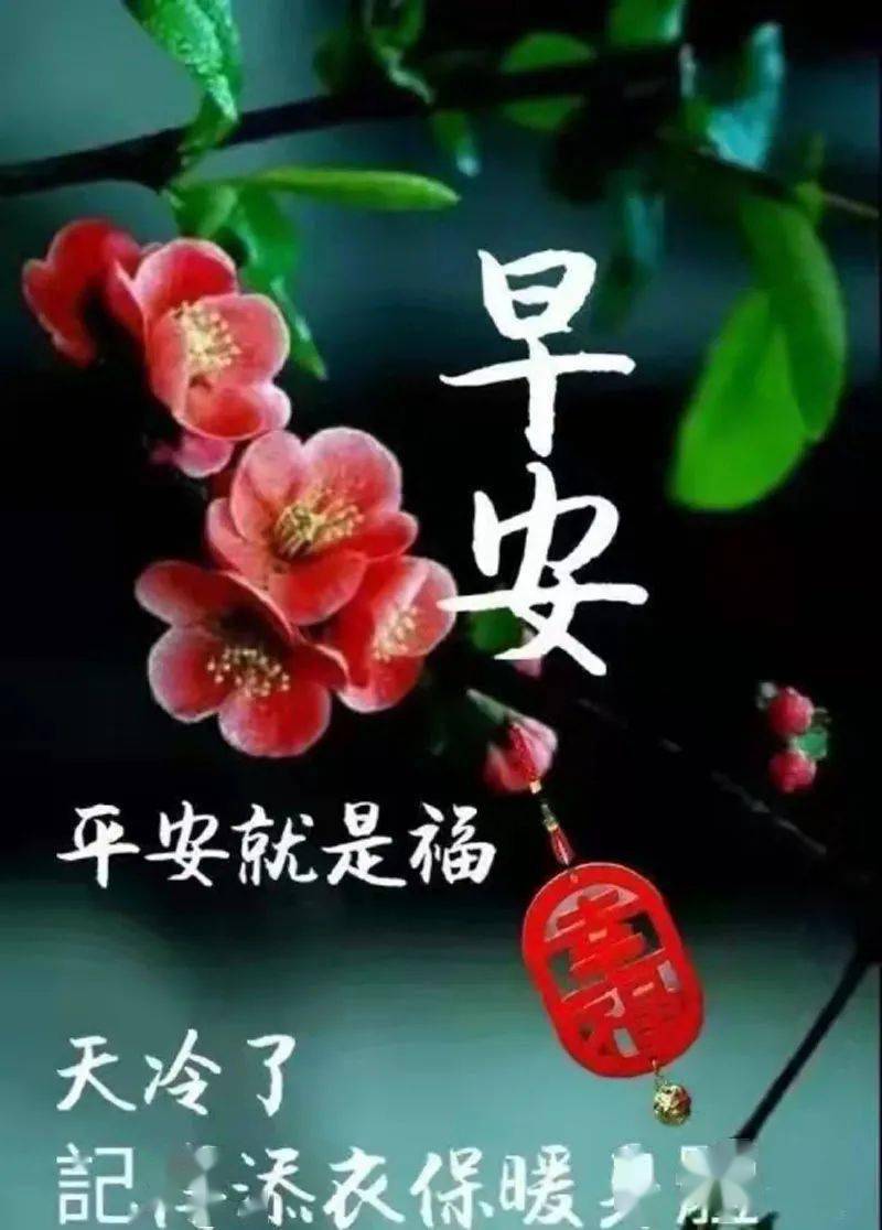 愿我们平安健康,快乐每一天!