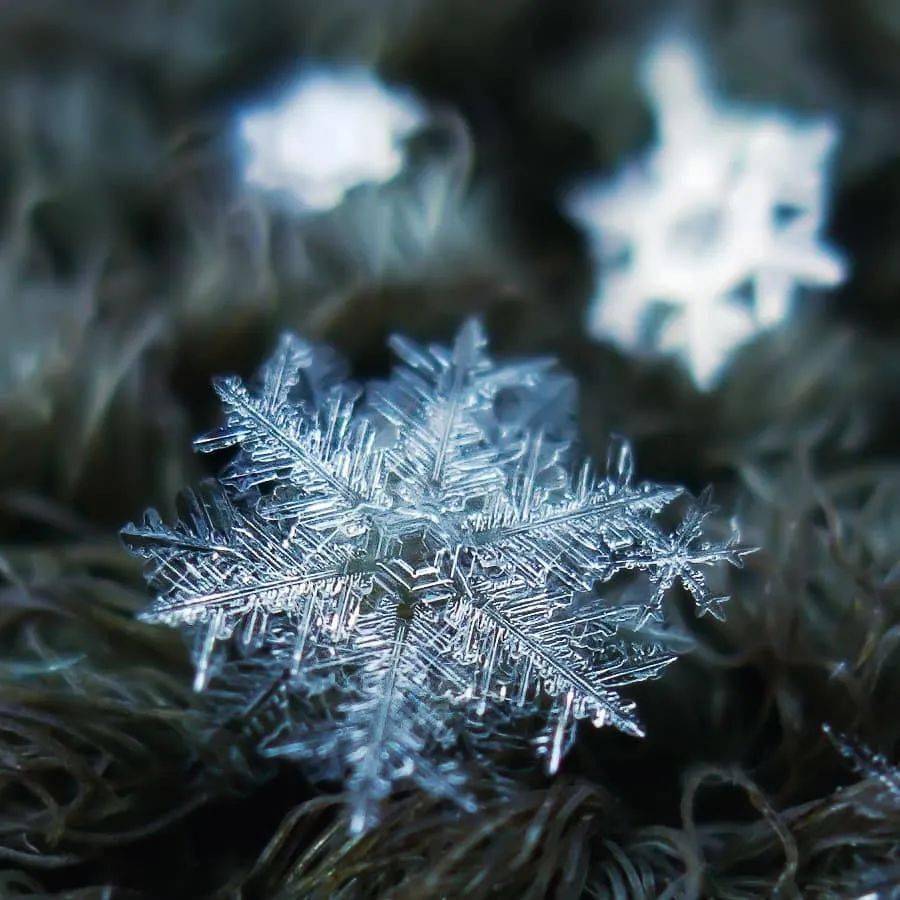 让它来告诉你_雪花