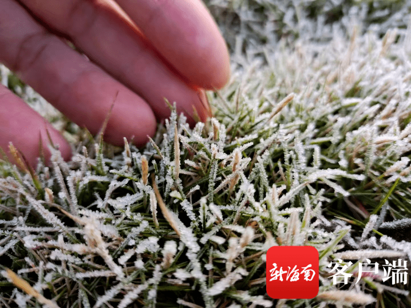 海南人在朋友圈“求雪”，终于感动上苍