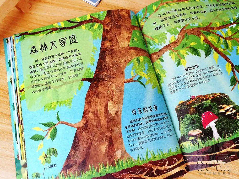 全部内容都选取自咱们国家古代的优秀经典故事.