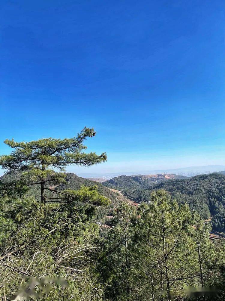 一山更比一山高