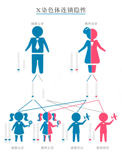 400_511 竖版 竖屏