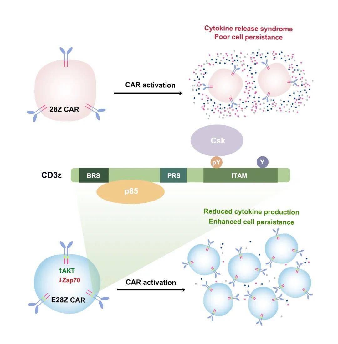如何使用抗原 61df00baa64443108256d68da3fe47be.jpeg