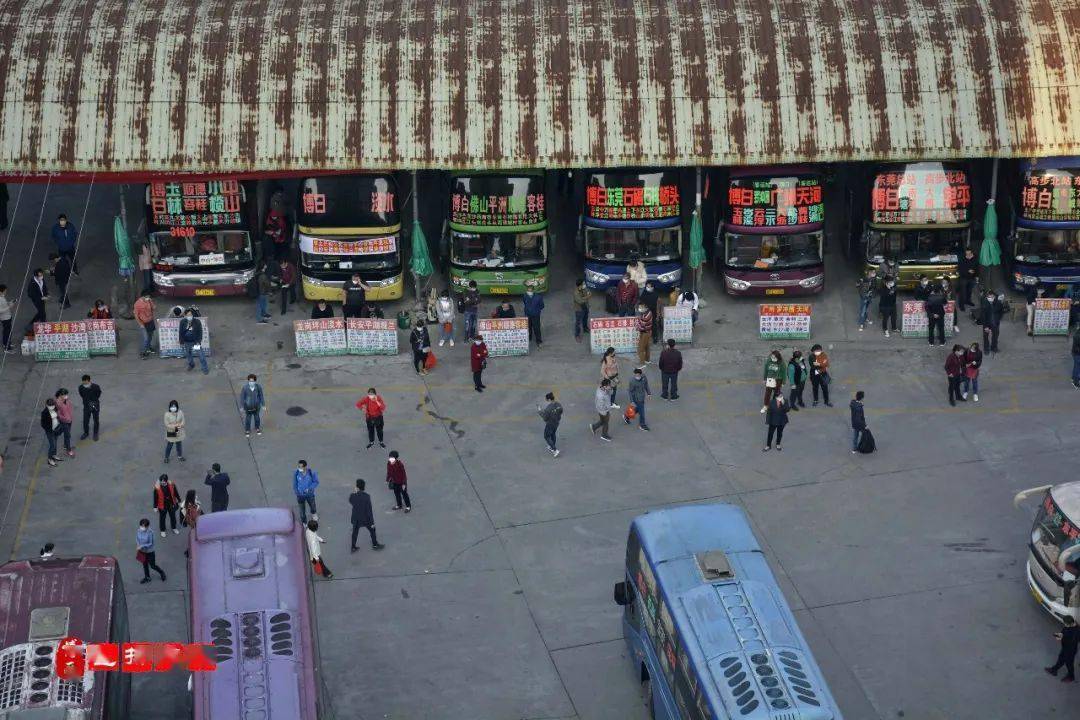 博白县人口有多少2021_博白县地图