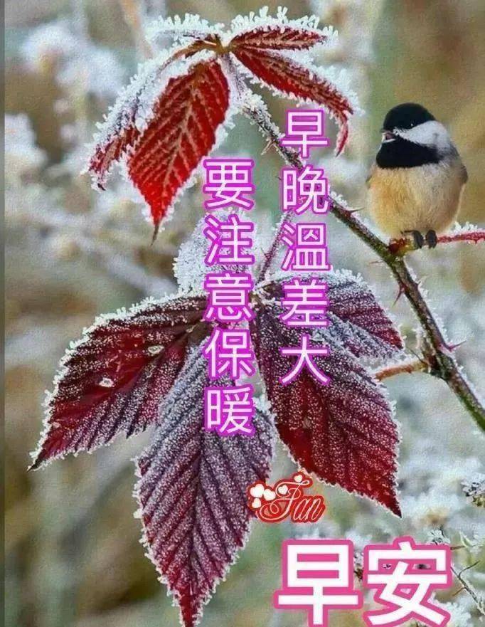 1月16日周六漂亮的早上好表情图片超好看的早安图片带字带祝福语
