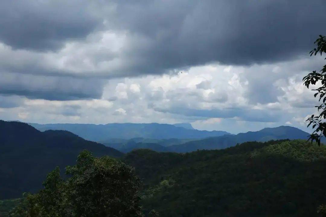 您有所不知的曼松王子山