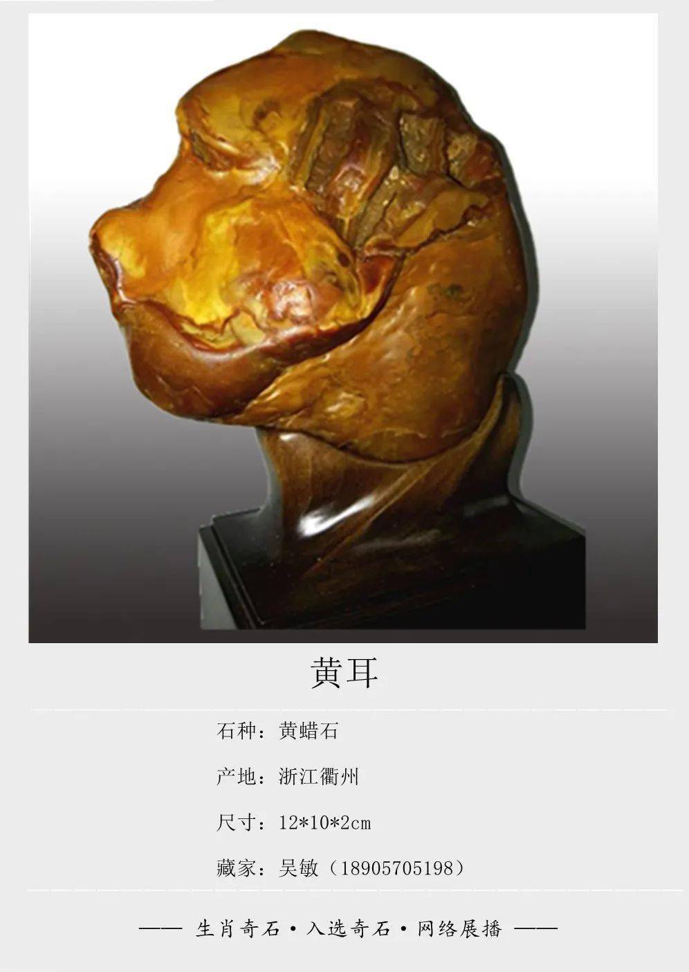 《生肖奇石》展播开始了!入展作品登场!欢迎观展欣赏!