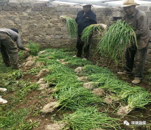 依拉克多少人口_吉林有多少人口