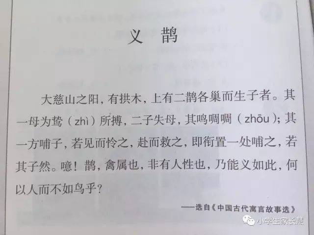 【小学生必读小古文100篇】第四十二篇《义鹊》_手机搜狐网