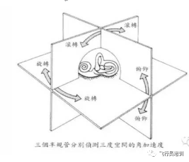 6f1a17f7637c4f8992a690c61d770463.png
