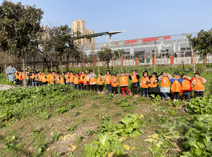 可爱爱儿篮二分园走进蔬菜园萌孩子开启学习体验模式