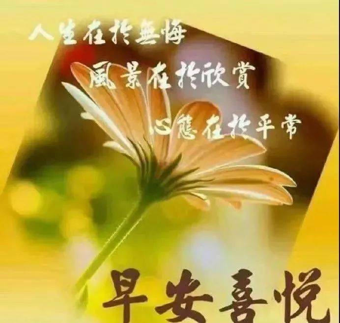 寒冬早上好动态表情包图片带字早上好温馨问候祝福语大全