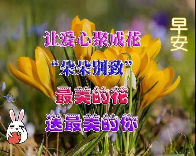 b9559ca4468c4e799ae7e908de3152a8.jpeg