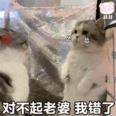 又沙雕又可爱的表情包