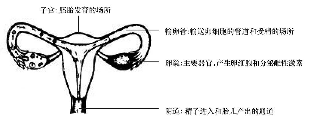 中考生物识图题常用结构示意图汇总,复习必备!