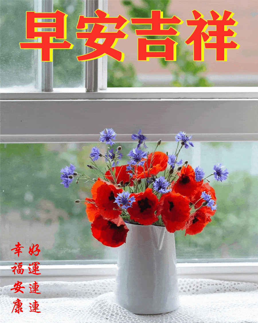 2021116周末愉快《早安心语》∮