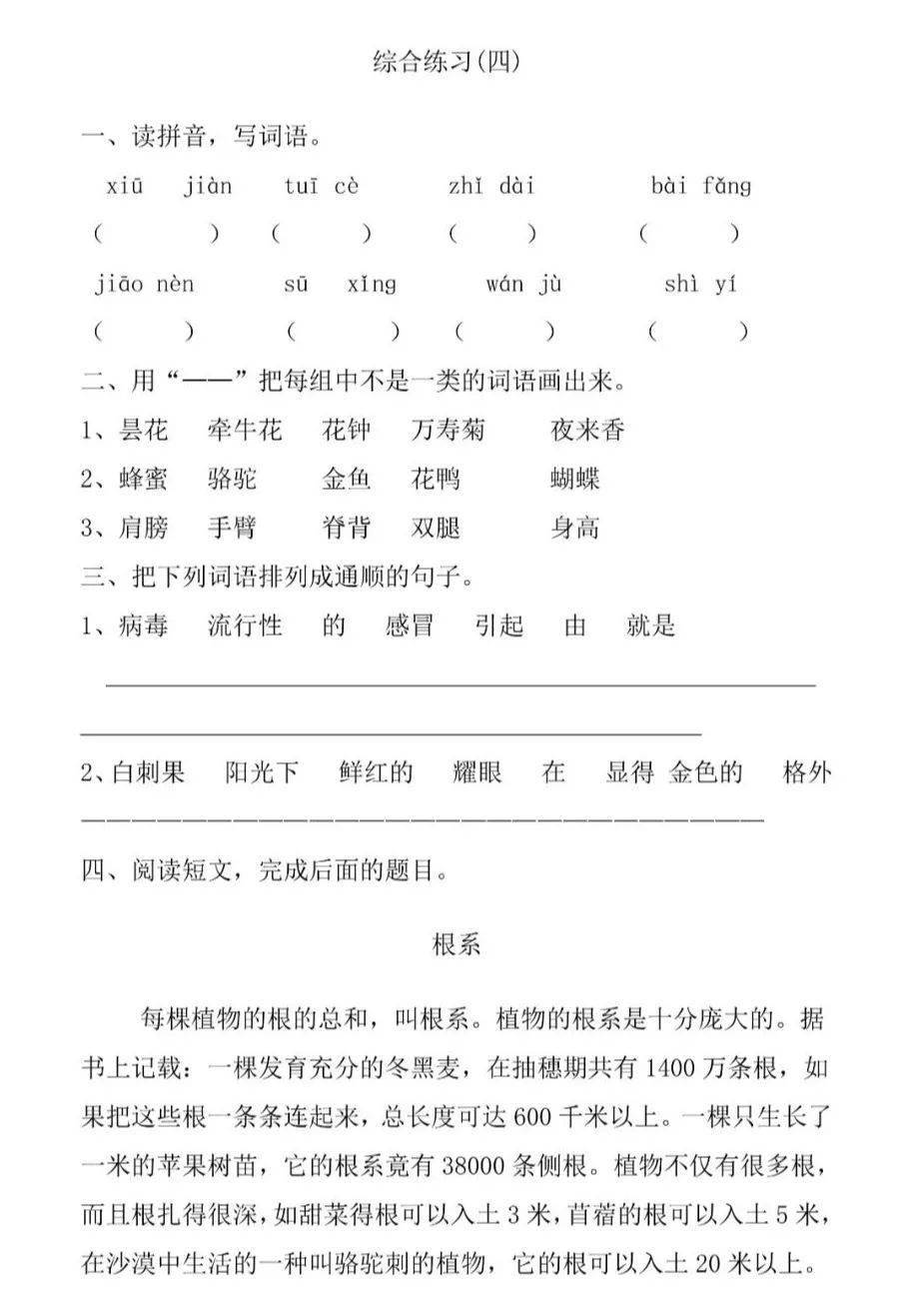 小学三年级语文寒假作业专项练习题5套无答案打印练习