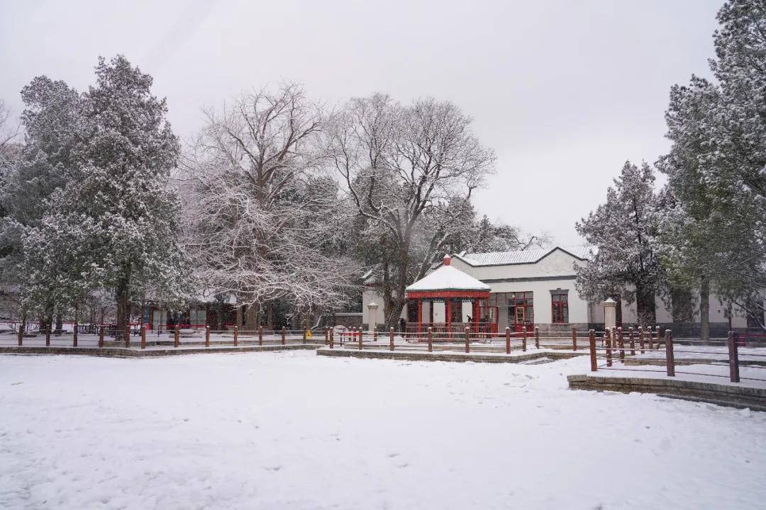 2021年第一场雪,香山雪景来了!登山赏雪兆丰年!