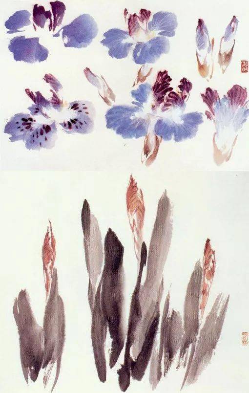 萧朗花卉课徒画稿(收藏)