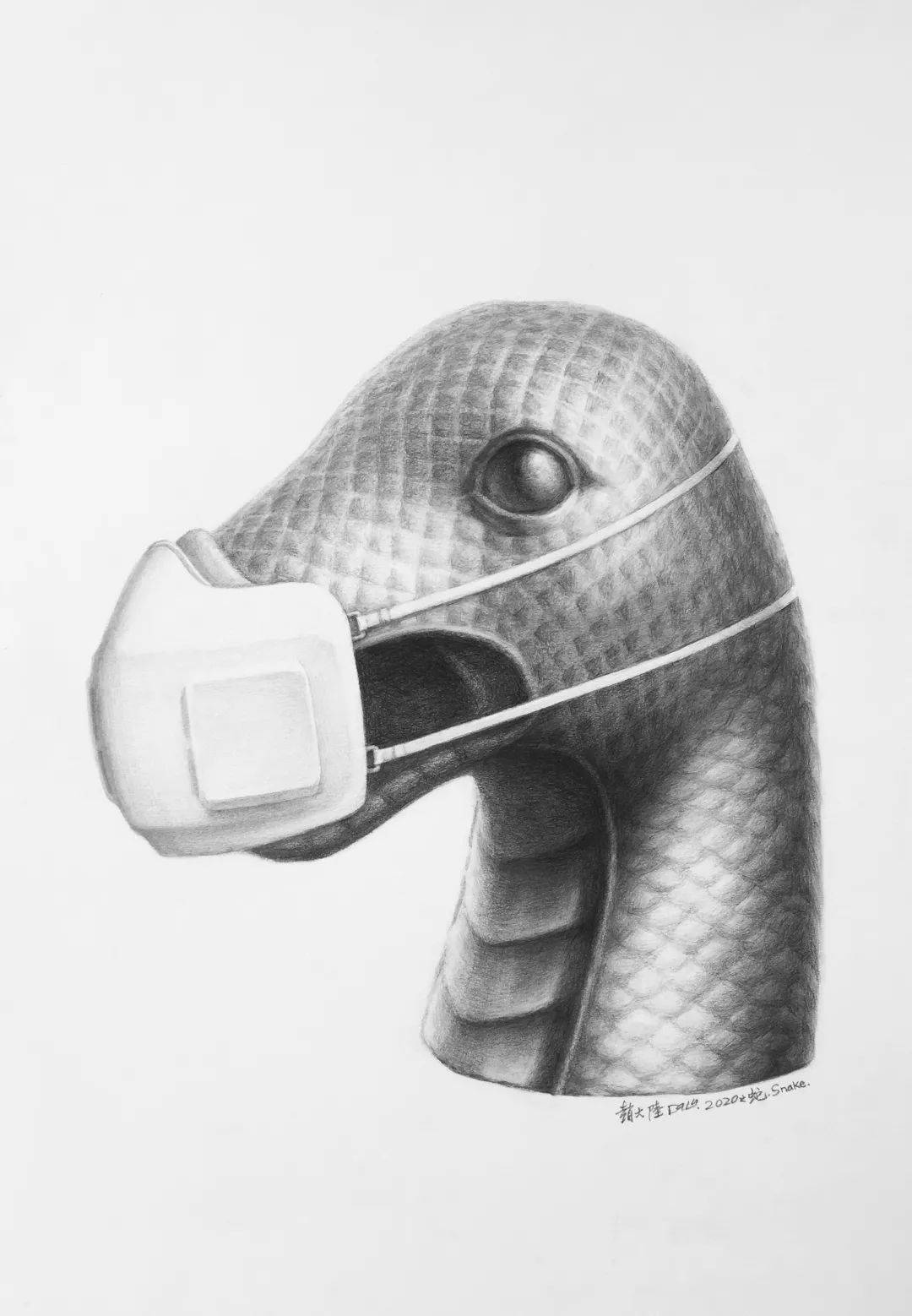 2020之蛇 snake 纸上铅笔素描 pencil drawing on paper 60x40cm 2020