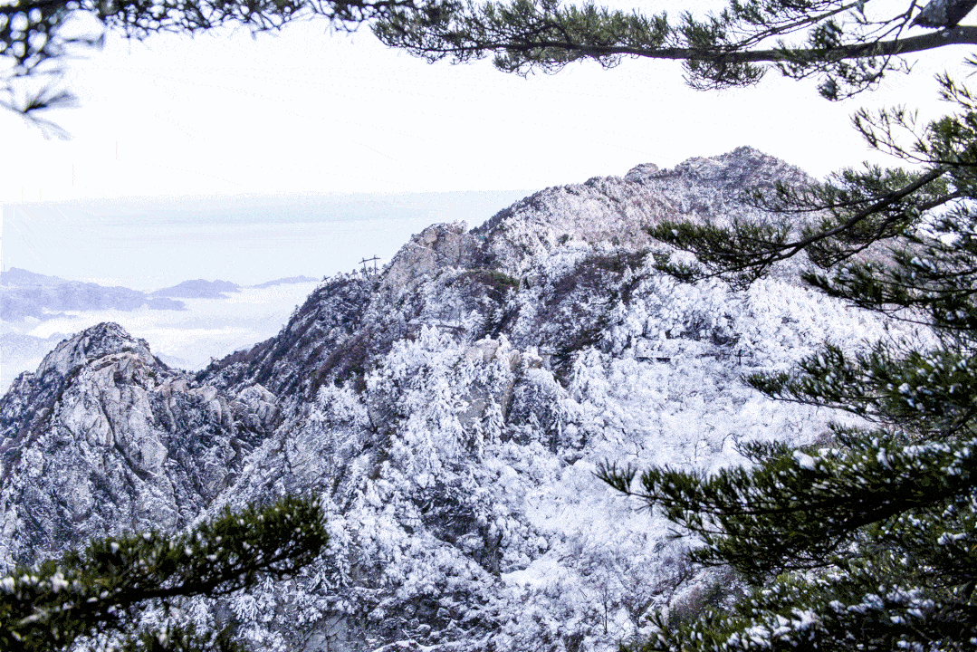 大雪后,白雪皑皑的山峦,魅力无穷的雾凇,堆云叠翠的冰挂……山景瞬间