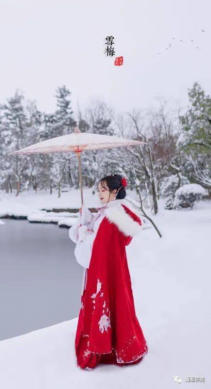 【古风摄影】雪梅