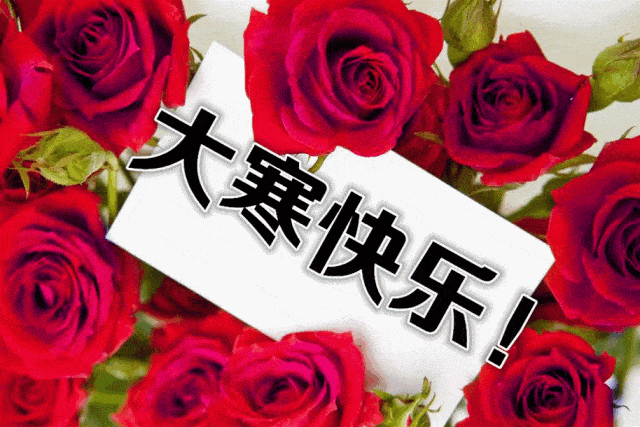 今日大寒,一曲《思念》太美了,送给思念我的人!爱有五