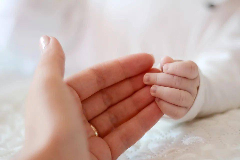 图为:婴儿的手握着妈妈的手指尖