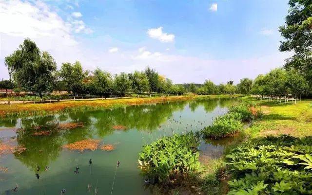 乐游仙小枧湿地公园你建在生态上的游乐场
