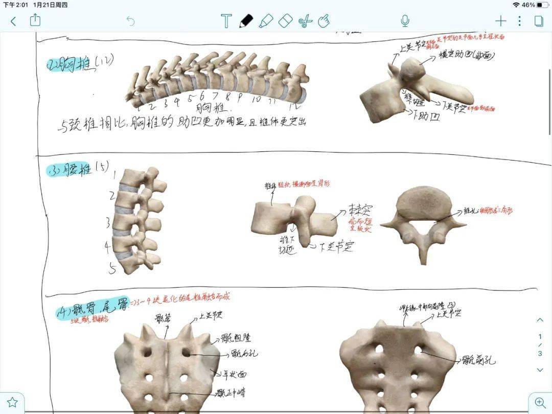 特刊| 看到别人的寒假计划,我感受到"亿点点"刺激.