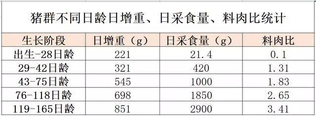 猪的日采食量都会受到影响,导致日增重降低,料肉比升高,从而影响猪场