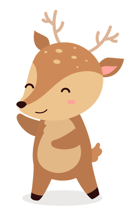 梅花鹿 : 身姿优美的小鹿 温润无害的眼睛 不用去奈良 在北城也可以看