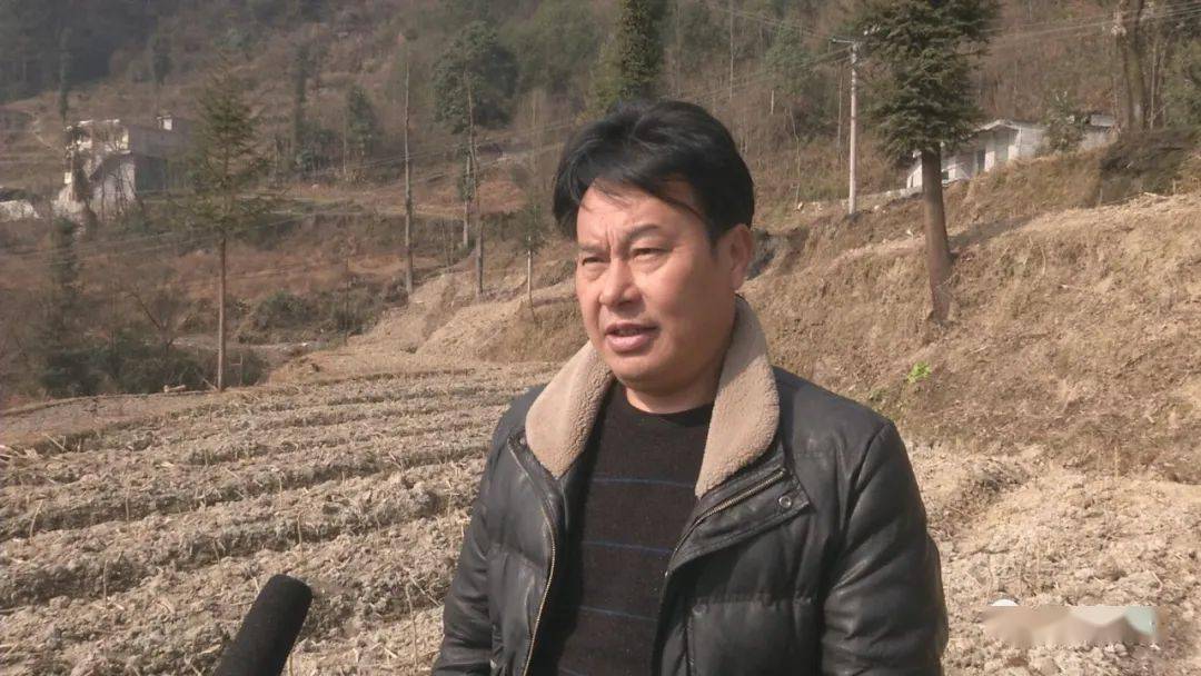 黔江区沙坝镇巩固传统产业添彩乡村振兴