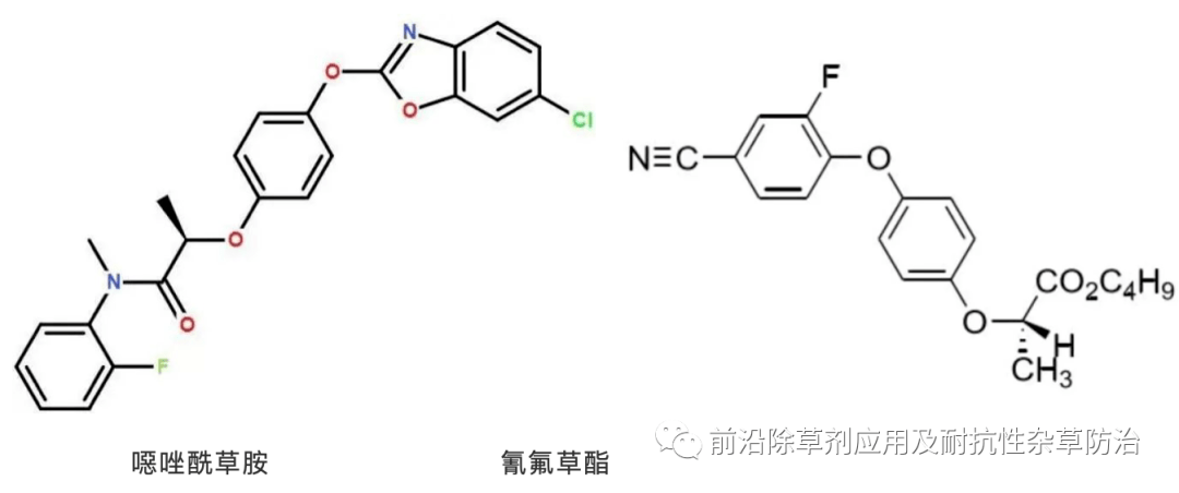 恶唑酰草胺的国产化能否如氰氟草酯一样顺利?