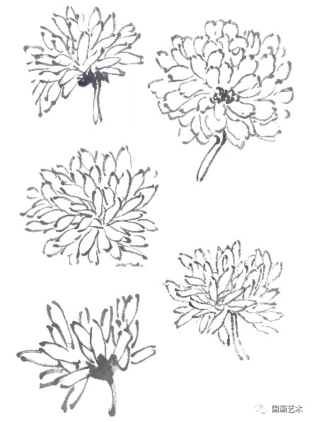 图文教程:简单易学的写意菊花,菊叶画法步骤