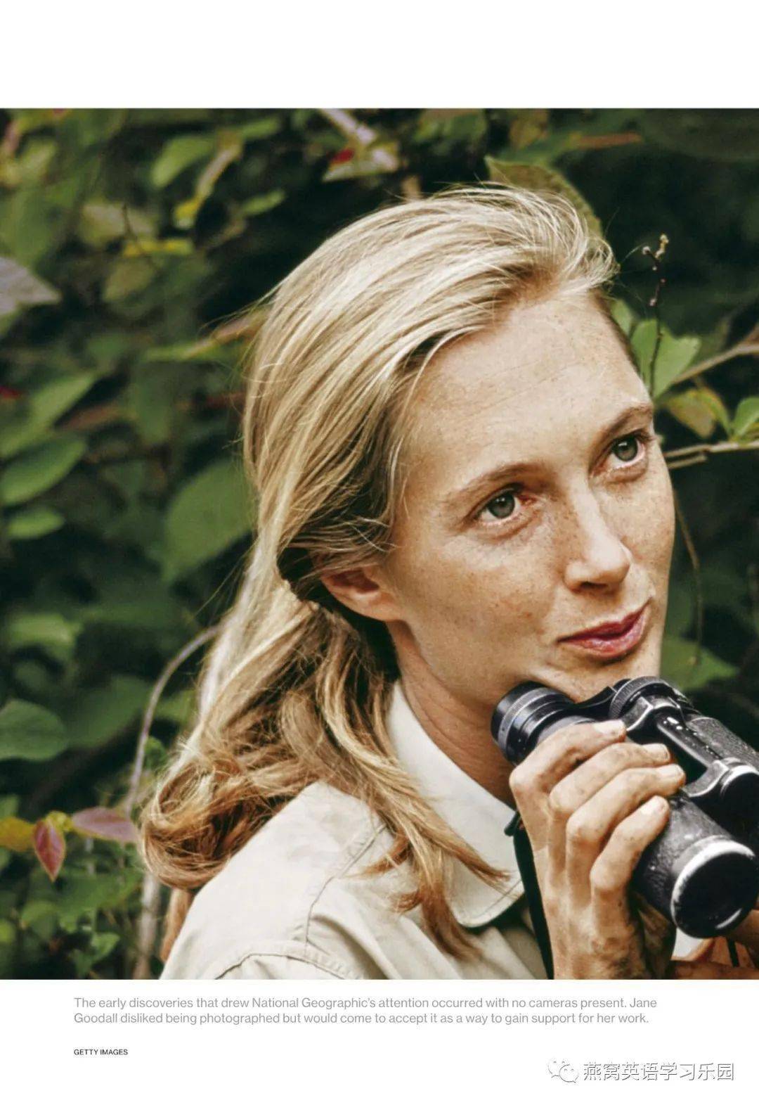 jane goodall, a student of african wildlife