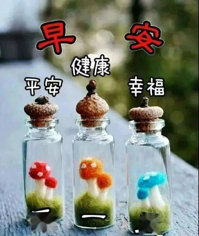 微信群发最美清晨早上好图片动态的带鲜花 2021温馨早上好问候祝福语