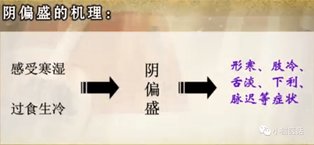 阳盛则热,阳偏盛而阴未衰表现为实热证,以热,动,燥为代表特点,会出现