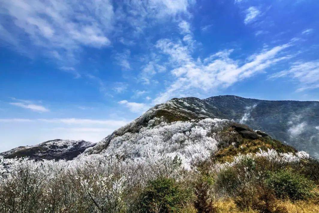 杆洞雪韵 廖维摄杆洞雪韵 廖维摄元宝山雪韵雪景元宝山为融水第一高山