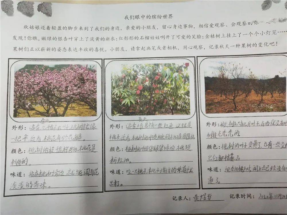 围观致远 | 我眼中的缤纷世界