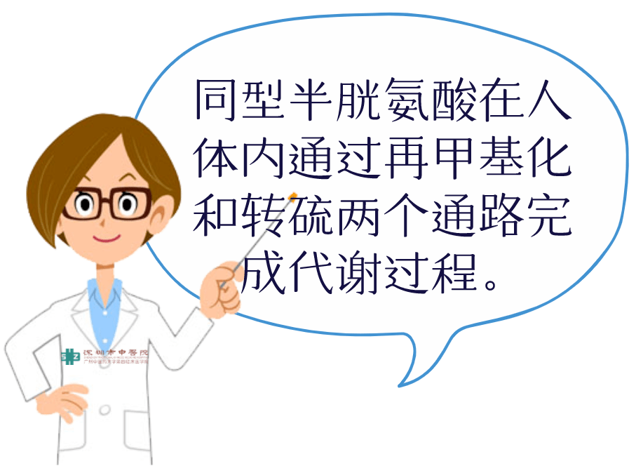 营养专家告诉你,高同型半胱氨酸血症,不是吃吃叶酸就能解决的问题