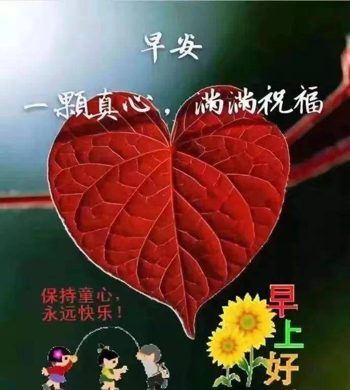 天气转凉,愿你身体总安康