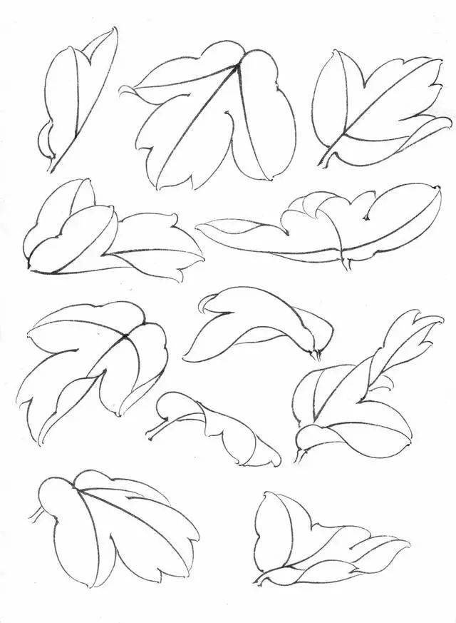 工笔画牡丹花房,花蕊,叶子,枝干的画法及设色_步骤