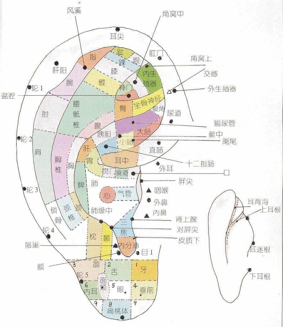 耳穴压丸治疗儿童疾病安全又有效